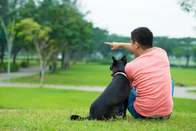 Can Dogs Learn Sign Language? Vet-Approved Training Tips