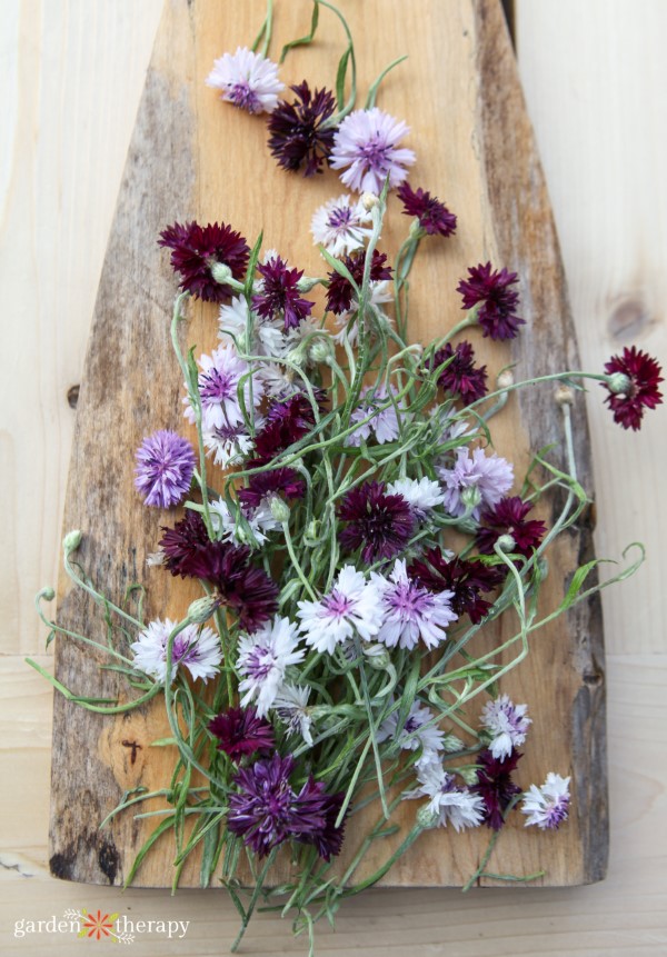 Common Garden Herbs for a Skin Care Apothecary