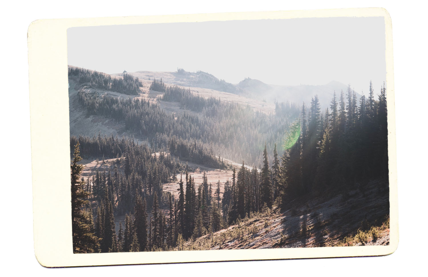 Top Spots to Visit on a Pacific Northwest Road Trip