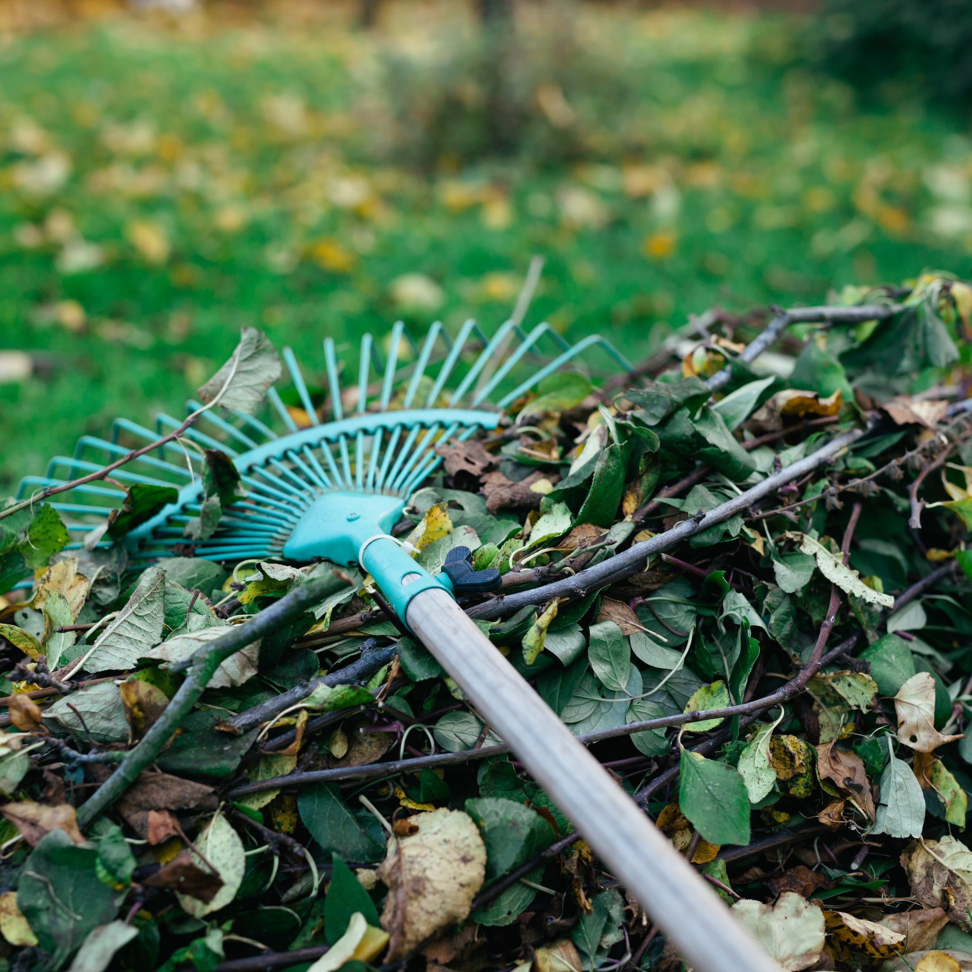 Help Insects and Birds over Winter—Build a “Bug Snug”