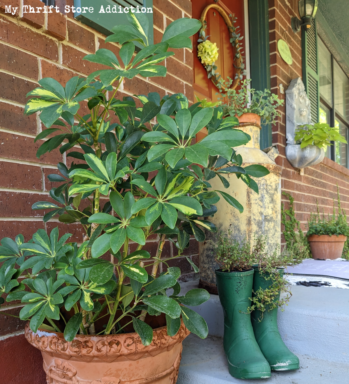 Late Summer Garden Stroll
