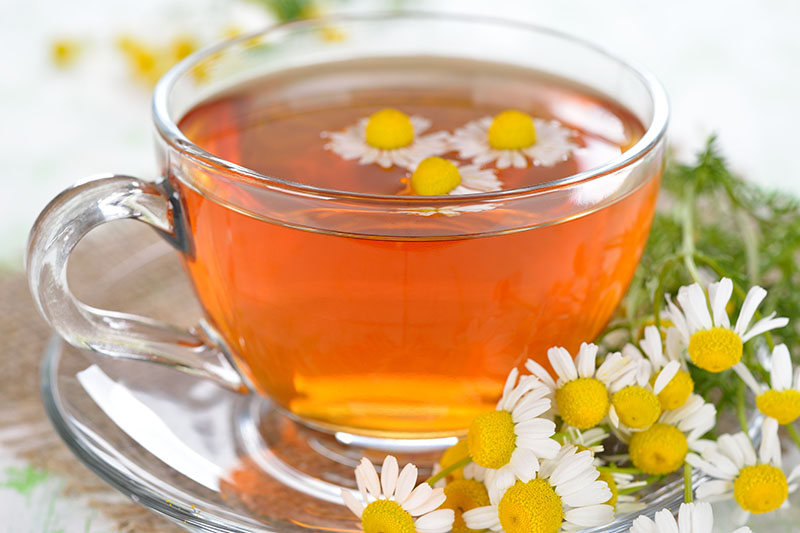 English vs. German Chamomile