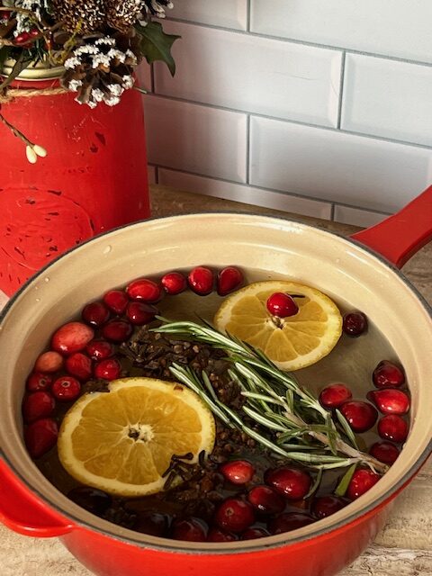 Make a Holiday Simmer Pot